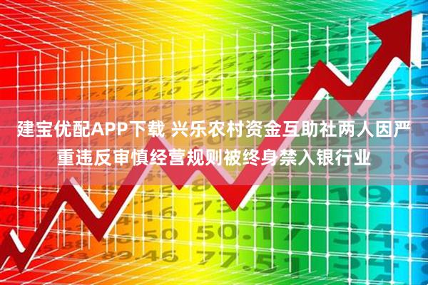 建宝优配APP下载 兴乐农村资金互助社两人因严重违反审慎经营规则被终身禁入银行业