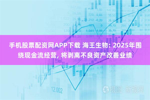 手机股票配资网APP下载 海王生物: 2025年围绕现金流经营, 将剥离不良资产改善业绩
